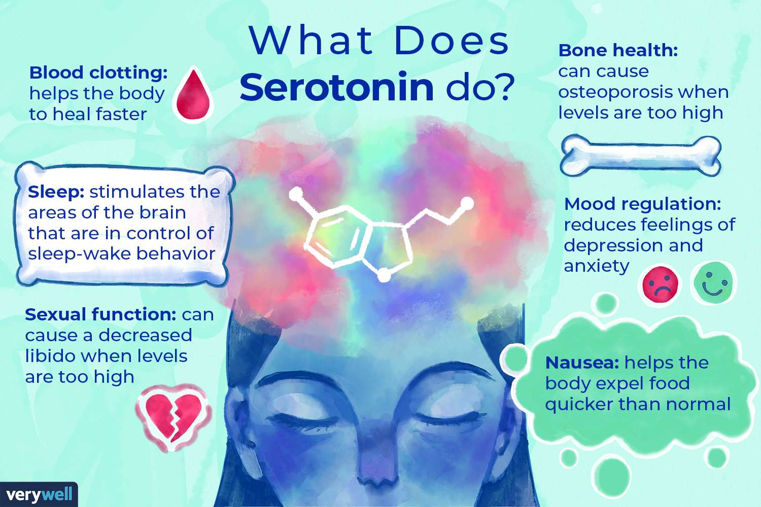 The Happy Chemicals Series Part 3: Serotonin