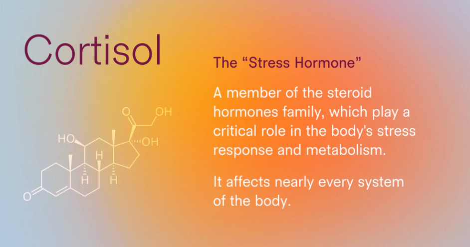 Happy Chemical Series: Part 6